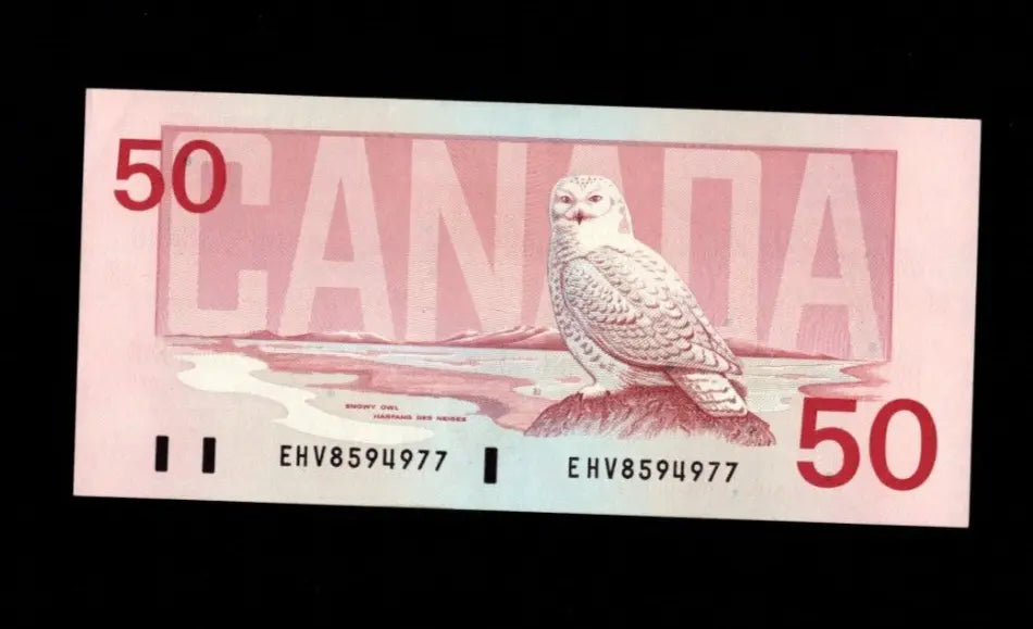 Reverse of 1988 Canada 50 Dollar banknote featuring a Snowy Owl in an Arctic landscape