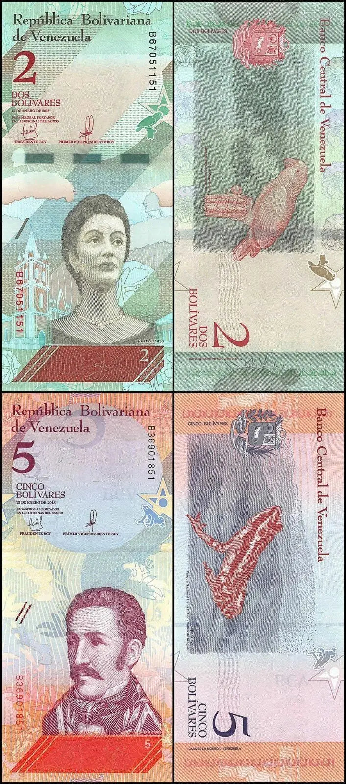 Venezuelan 2 and 5 bolívar banknotes, featuring portraits, native wildlife, and detailed illustrations.