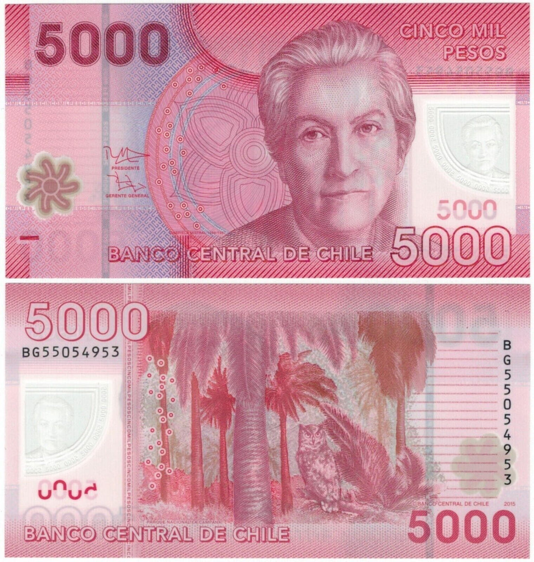Chile 5000 Pesos (2014) UNC - worldbanknote