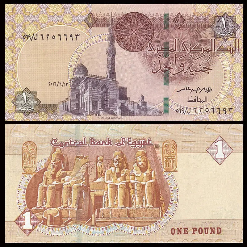 100X EGYPT 1 POUND  2017 UNC