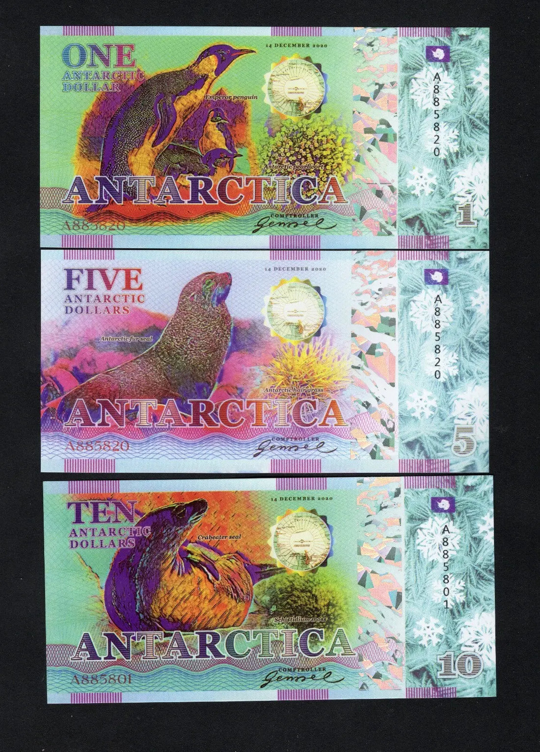 Antarctica Set 6 1 5 10 20 50 100 Dollars 2020 polymer Fantasy/w2