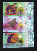 Antarctica Set 6 1 5 10 20 50 100 Dollars 2020 polymer Fantasy/w2