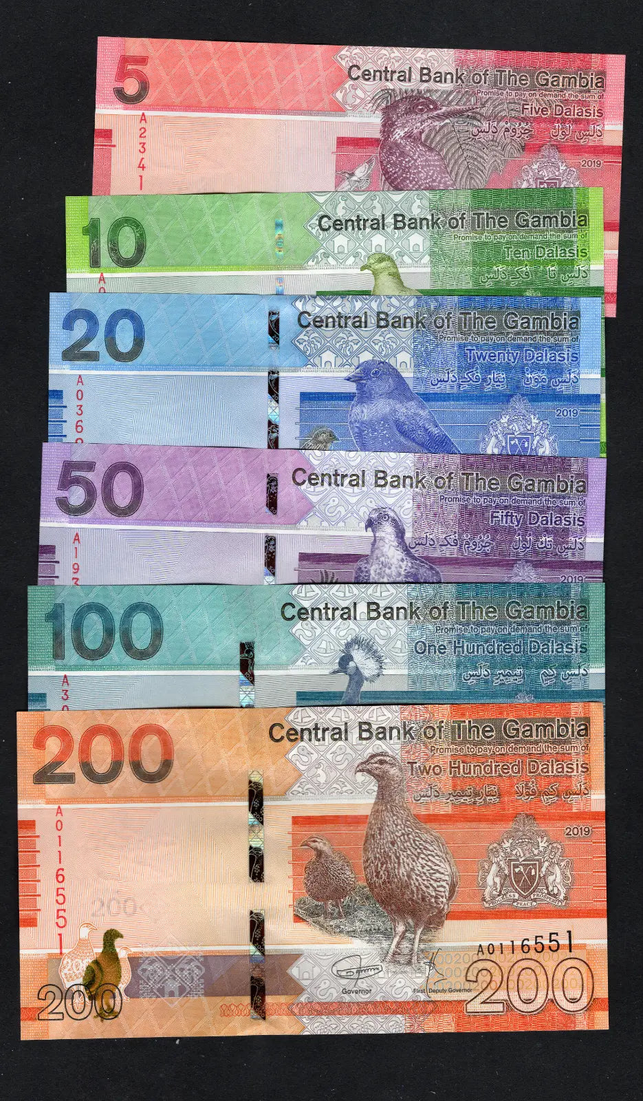 GAMBIA: Banknotes full Set:5 10 20 50 100 200 Dalasis  2019  Uncirculated