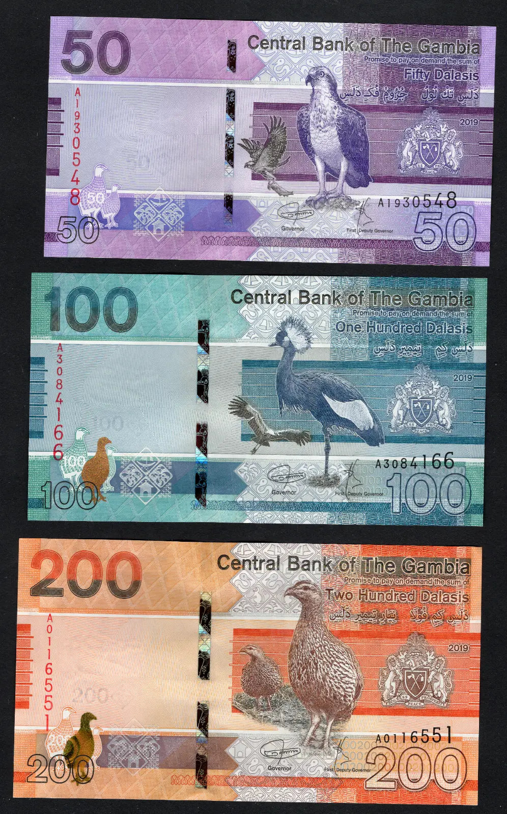GAMBIA: Banknotes full Set:5 10 20 50 100 200 Dalasis  2019  Uncirculated