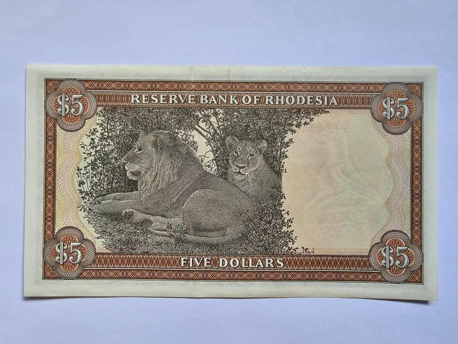 Rhodesia 5 Dollar 1979 UNC ~ P38