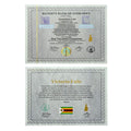 New Large Zimbabwe Coupon One Thousand with UV Mark for Collection - worldbanknote