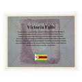 Zimbabwe Nonillon Containers Scroll Banknote 54 Zero Paper Money With UV - worldbanknote