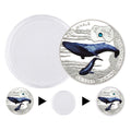 Souvenir Gifts Endangered Animal Species Blue Whale Silver Plated Coins - worldbanknote