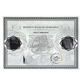 100 Trillion Dollar Silver Foil Banknote Zimbabwe Large Certificate Collectibles