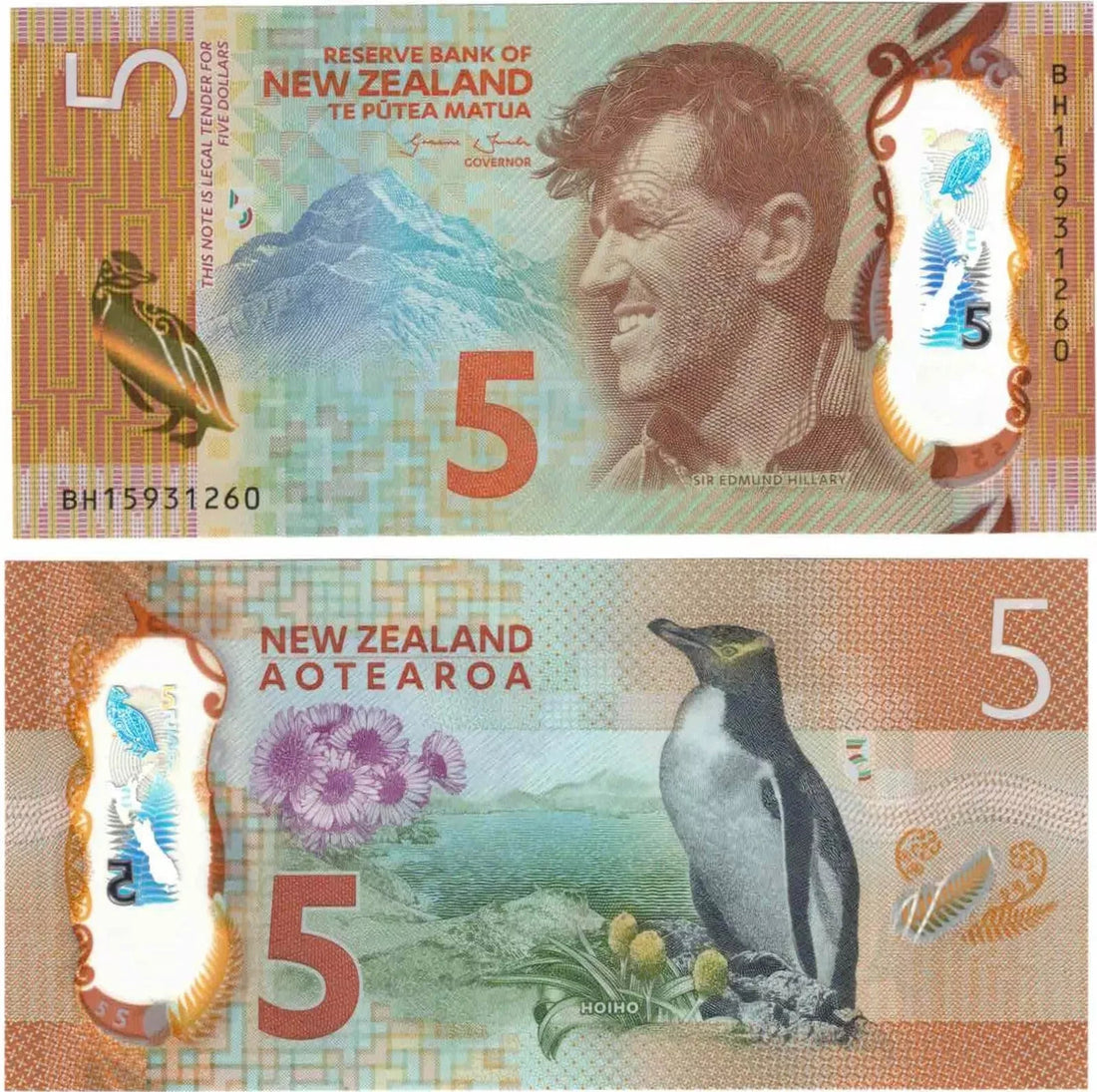 New Zealand 5  DOLLARS Uncirculated
