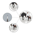 Souvenir Gifts Endangered Animal Species Grevy's Zebra Silver Plated Coin - worldbanknote