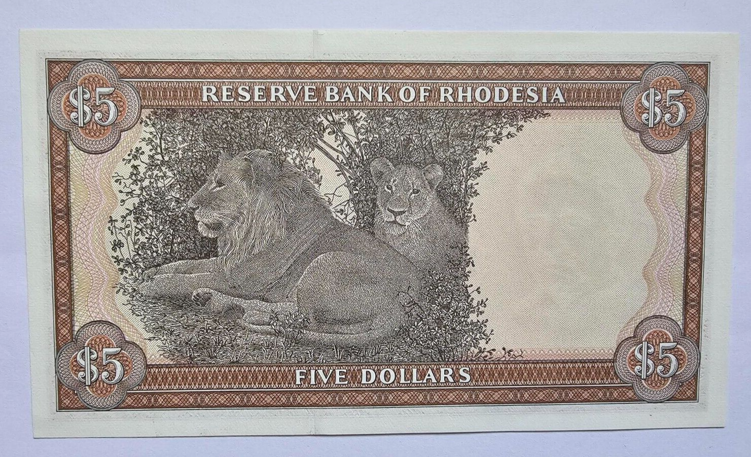 Rhodesia 5 Dollar 1978 Almost Uncirculated - worldbanknote