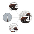 Endangered Animal Species Zambia Red Ruffed Lemur Silver Plated Coins - worldbanknote