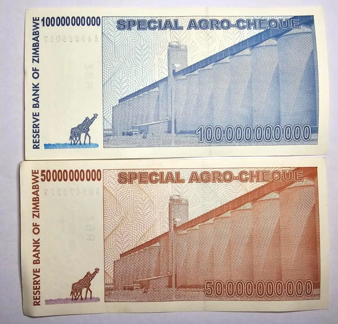 Set Of 2 Notes Zimbabwe 50/100 Billion Dollars Special Agro-Cheque 2008 VF/EF