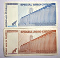 Set Of 2 Notes Zimbabwe 50/100 Billion Dollars Special Agro-Cheque 2008 VF/EF