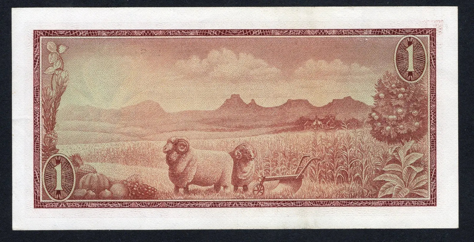 SOUTH AFRICA 1 RAND 1973-76 P-117b AUNC/D15