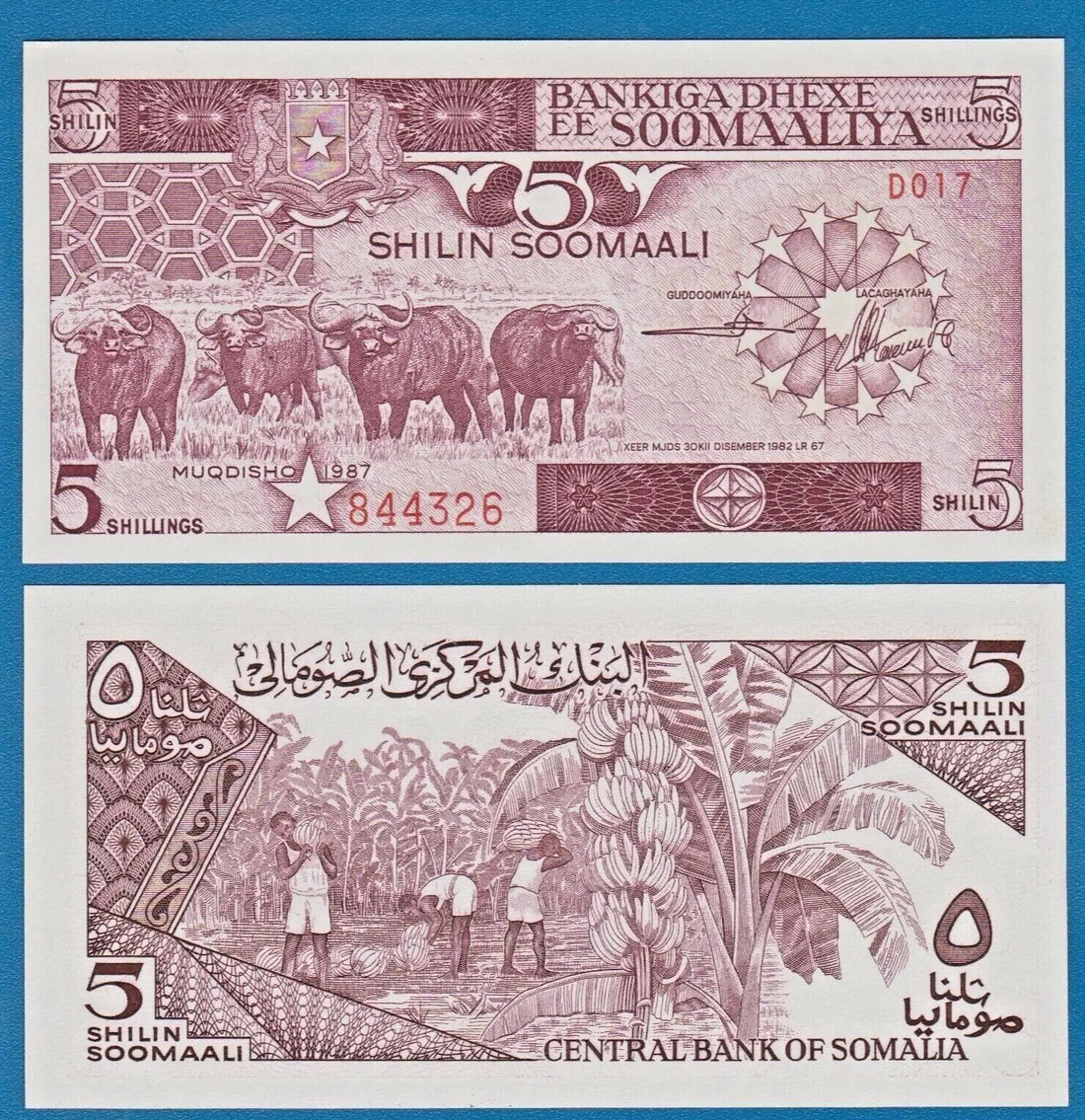 SOMALIA 5 SHILLINGS  1987 UNC (P31c)