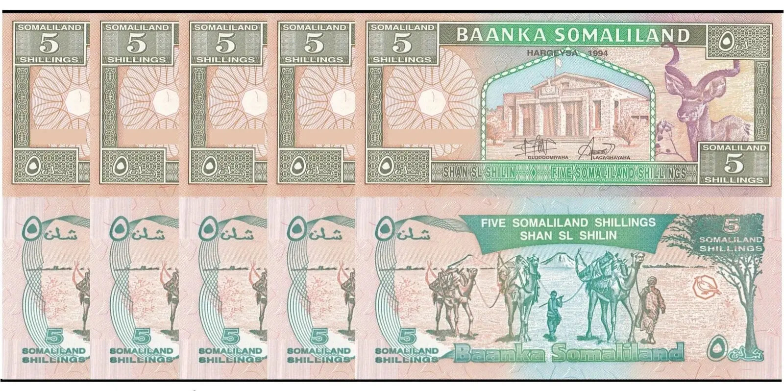 5xSomaliland 5 Shillings 1994 P 1 UNC