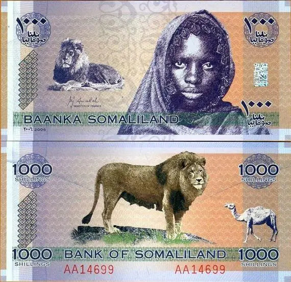 Somaliland 1000 shillings banknote featuring a lion, camel, and portrait of a woman