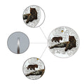 Art Ornaments Endangered Animal Species Amur Leopard Silver Plated Coins - worldbanknote