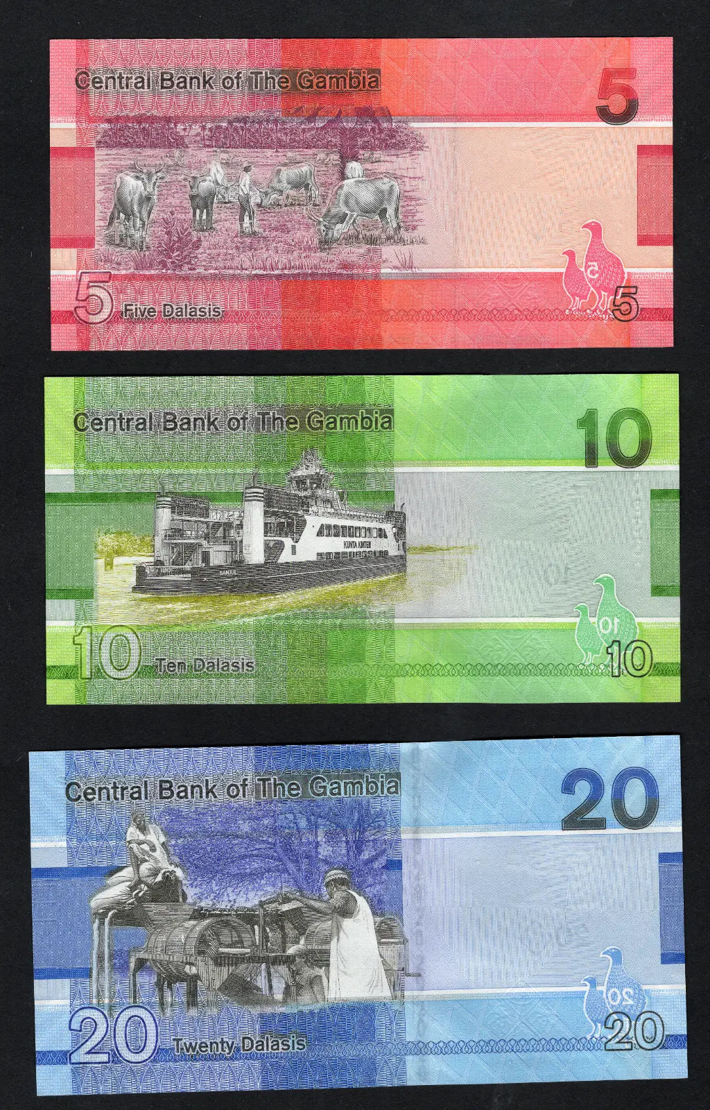 GAMBIA: Banknotes full Set:5 10 20 50 100 200 Dalasis  2019  Uncirculated