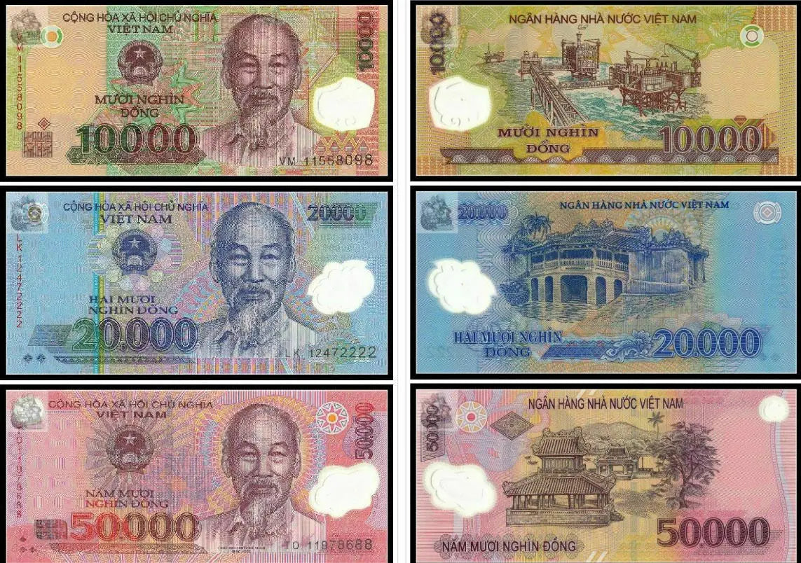 Vietnamese banknotes collection including 10,000, 20,000, and 50,000 dong bills with iconic landmarks and portraits.