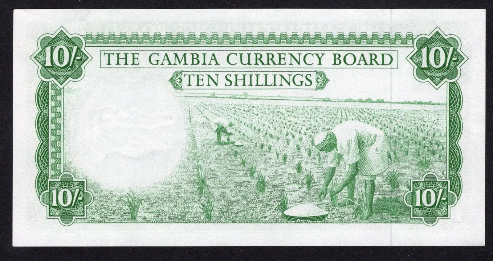 back of GAMBIA P-1a. (1965-70) 10 Shillings.. AUNC/D11
