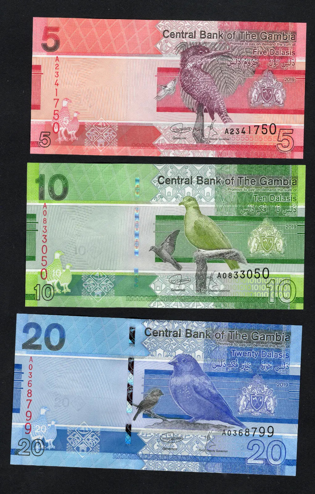 GAMBIA: Banknotes full Set:5 10 20 50 100 200 Dalasis  2019  Uncirculated