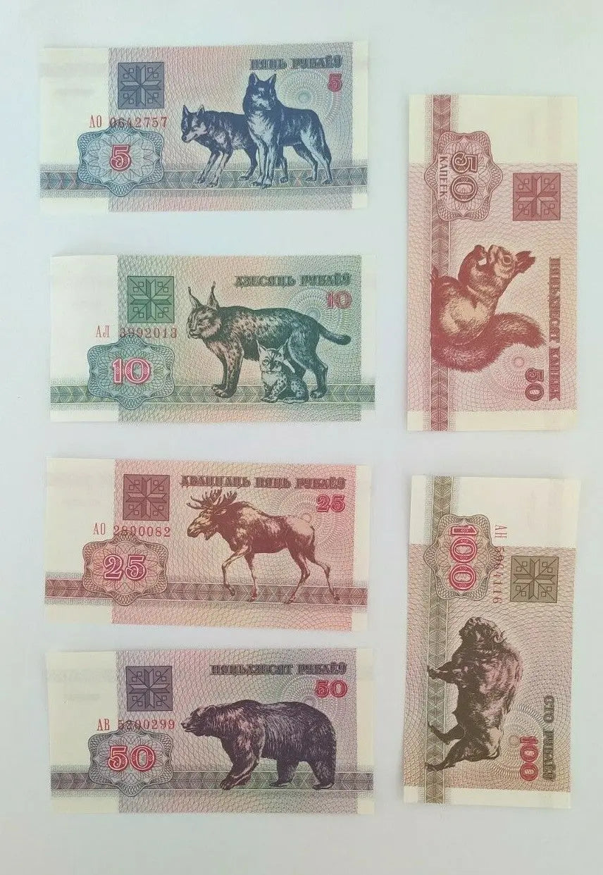 Belarus 50 Kapeek + 5 + 10 + 25 + 50 + 100 Rublei 1992 Set of 6 Banknotes UNC