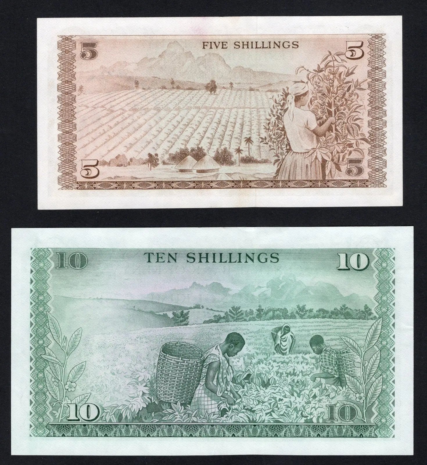back of Kenya 5 and 10 Shillings Note 1969 XF/AUNC/U15