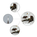 Art Ornaments Endangered Animal Species Amur Leopard Silver Plated Coins