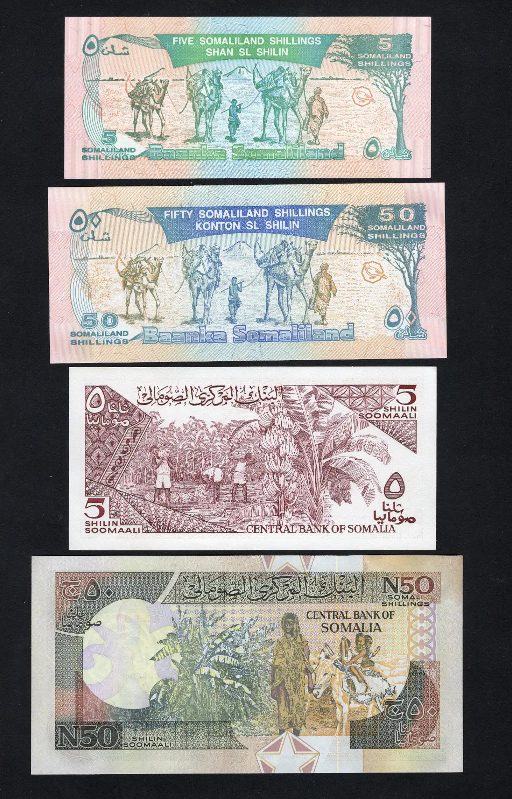  front of 2xSOMALIA ( 5, 50 Shilings )and 2xSomaliland (5, 50 shilings)banknotes