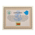 Zimbabwe ONE Centillion Containers Banknote Certificate Paper Money Gift - worldbanknote