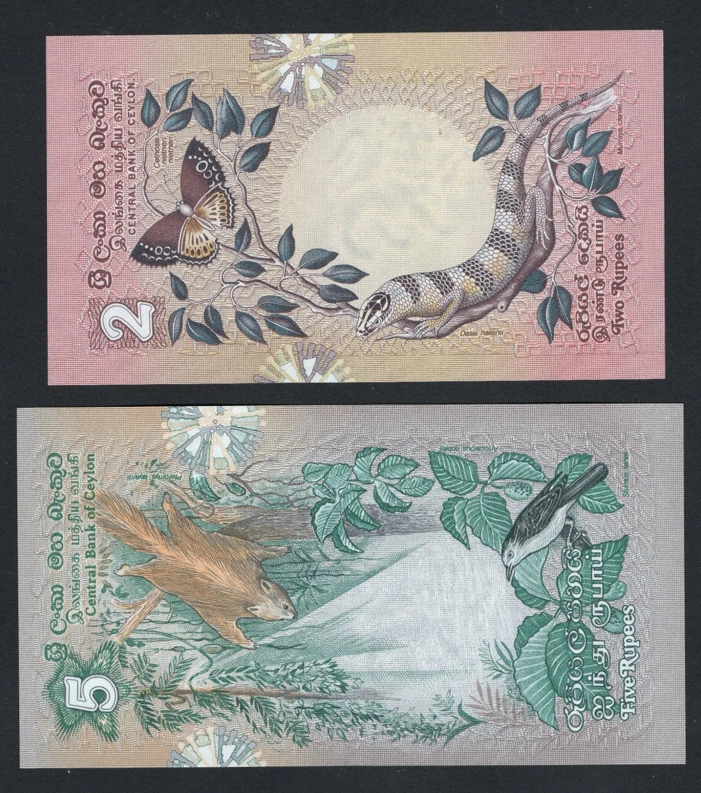 SRI LANKA , Ceylon 2 AND 5 (1979) RUPEES  AUNC /F10