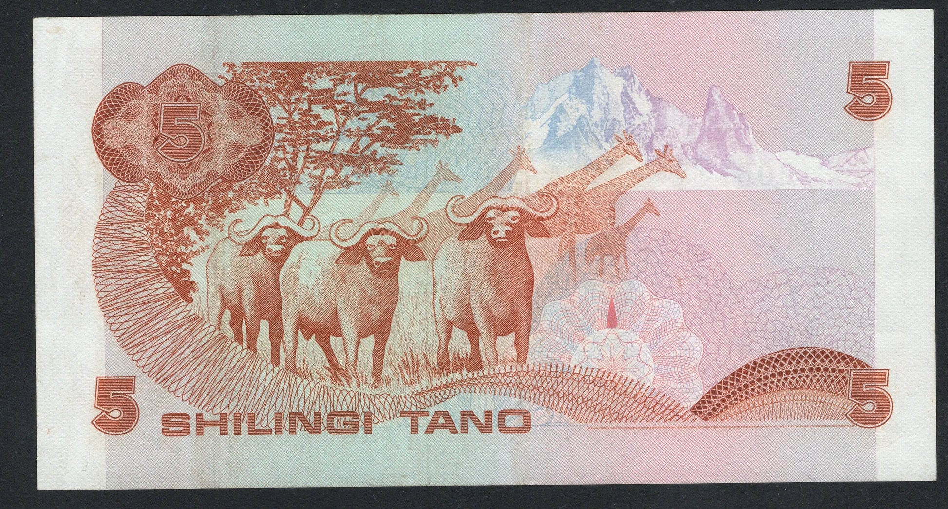 KENYA 5 Shillings Banknote 1981 AUNC/F10 worldbanknote
