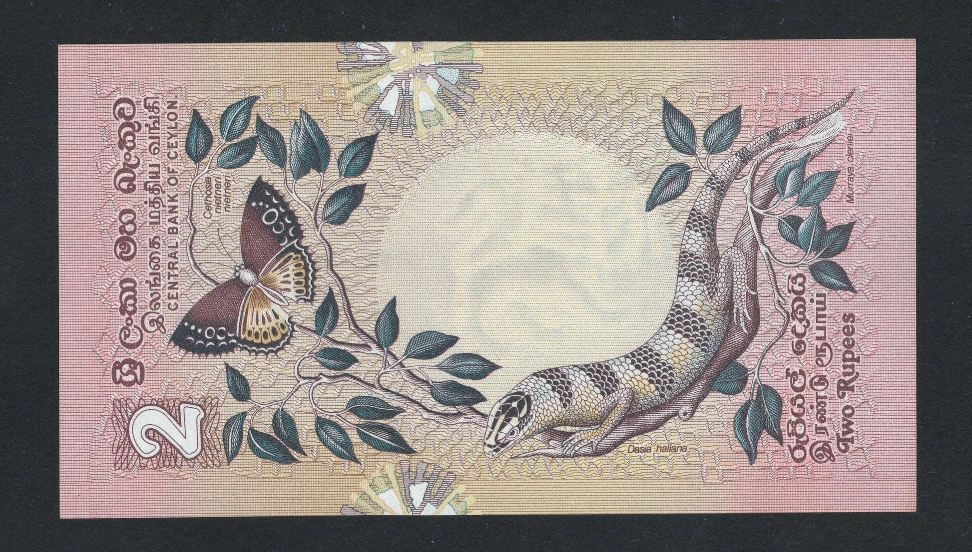 Two rupees banknote with a lizard and butterfly design on a pink background