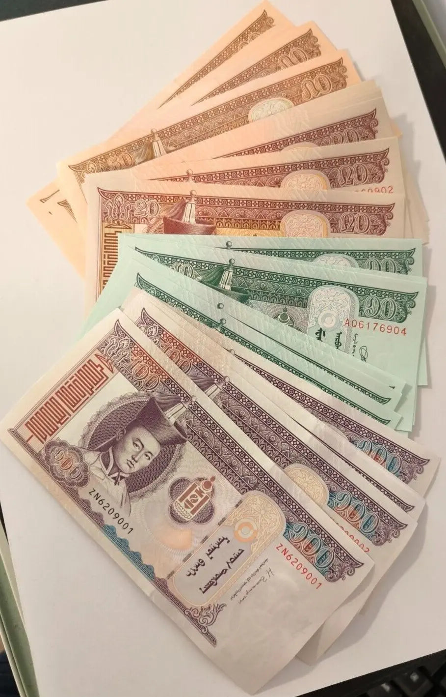 Wholesale fan of 40 uncirculated Mongolian Tugrik banknotes, 10 of each: 10, 20, 50, and 100 denominations.