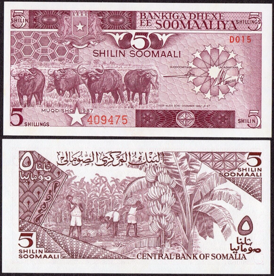 SOMALIA 5 SHILLINGS  1987 UNC (P31c)