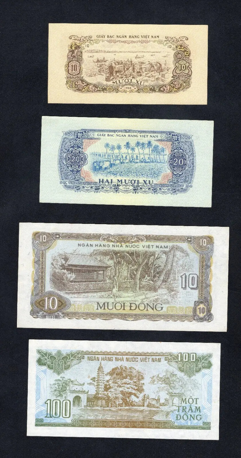 Front and back view of four Vietnamese banknotes including 10 Xu, 20 Xu, 10 Dong, and 100 Dong from various years.