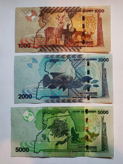 Uganda 6 Pcs Set, 1000 2000 5000 10000 20000 50000 Shillings 2019 2021, UNC