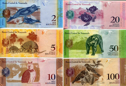 SET of 6 Venezuela notes, 2;5;10;20;50;100 Bolivares, 2007-2017, UNC > Colorful