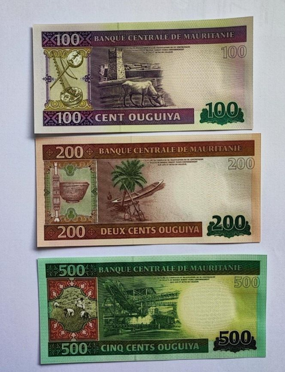 Mauritania _ set 5 banknotes 100 200 500 1000 2000 Ouguiya 2011 / 2015 UNC